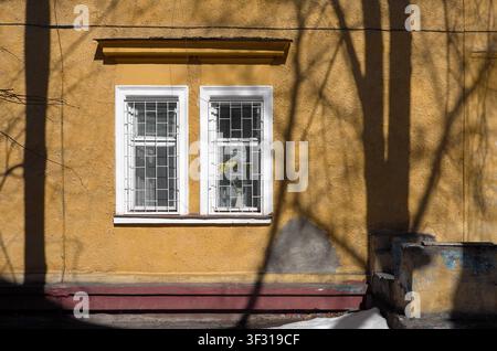 Sunlit yellow stucco facade features a white double window with metal bars, a potted plant inside and dramatic tree shadows. Stock Photo