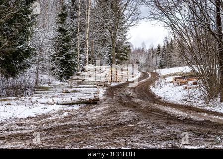 Frozen Tracks: A Muddy Road in a Snow-Covered Landscape . Timber Trail: Logs Stacked Along a Winter Forest Path Stock Photo