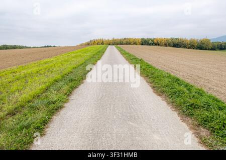 Empty rural road leading through autumn fields and trees Stock Photo