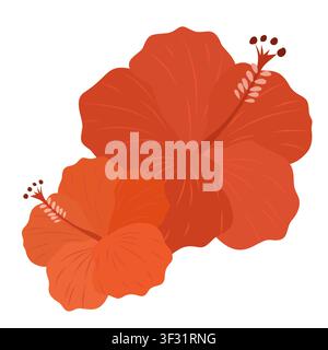 Vector illustration of two exotic hibiscus flowers. Tropical floral element in red and orange colors for summer card, sticker, and logo design. Stock Vector