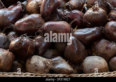 Fresh raw beetroots on a greengrocers stall at a food market Stock Photo