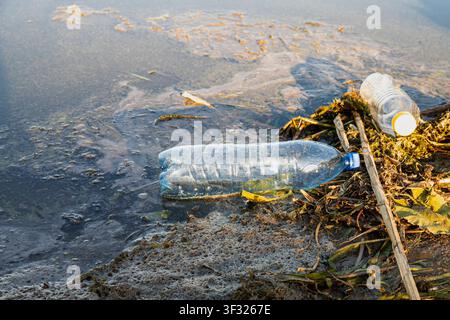 Discarded plastic bottles polluting dirty water along neglected natural shoreline Stock Photo