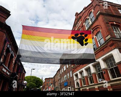 Manchester, UK - May 07, 2026: Bear pride flag with black paw suspended over a Manchester high street between red brick Victorian buildings celebratin Stock Photo