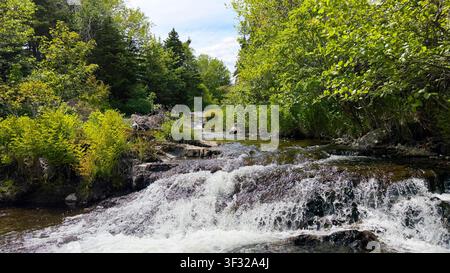 Small waterfall on a river with tree cover riverbank Stock Photo