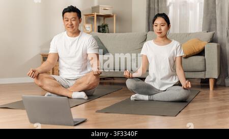 Focused Asian Woman And Man Practicing Yoga At Home, Online Class, Wellness Concept Stock Photo
