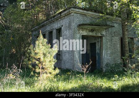 Abandoned Brick Building Overgrown by Nature in Estonian Forest Stock Photo