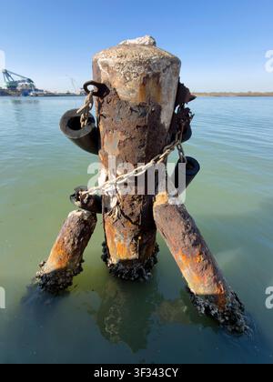 A close-up photograph of a heavily rusted mooring bollard with chains and protective fenders standing in calm harbor water. The image highlights corro Stock Photo