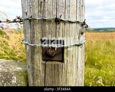 Barbed wire on a gate post on a farmin in England, U.K. Stock Photo