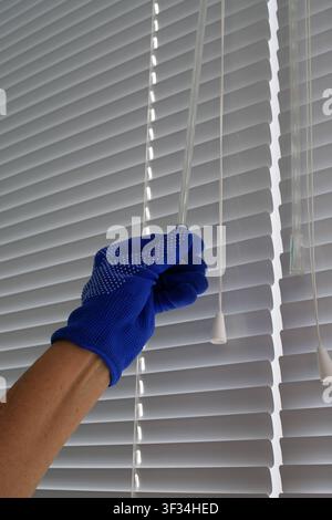 White metal blinds with cords, adjustable by hand wearing a protective glove. Control sunlight and ensure comfort in the home. Mechanisms for opening Stock Photo