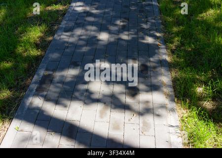 Grey cobblestone walkway winding through lush green grass with dappled tree shadows casting a peaceful patterned texture over the paving stones on a s Stock Photo