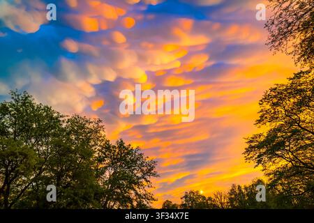 Dramatic mammatus clouds glowing at sunset after a passing storm in the evening sky Stock Photo