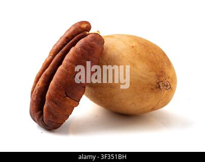 Whole pecan nut in shell and cracked pecan kernel isolated on white background Stock Photo