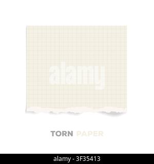 Torn box pattern paper Stock Vector