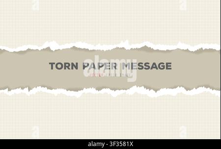 Ripped box patternt paper message Stock Vector