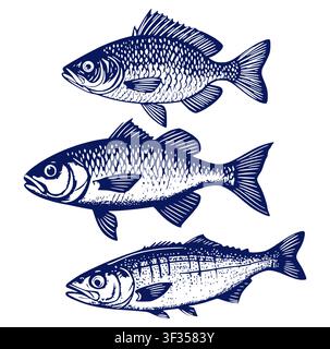 Fish with scales and fins, sketch. Vector illustration. Set of drawings of herring, mackerel and carp, isolated on white background. Theme is seafood, Stock Vector