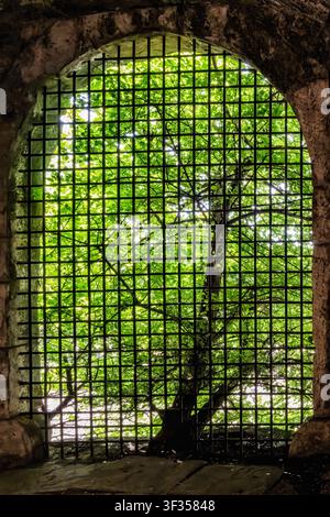 Arch with iron rods. Barred window in an ancient wall with a green tree on the other side of the grid. Stock Photo