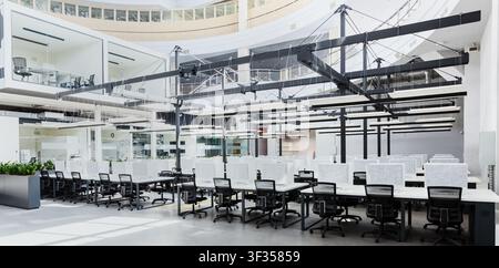 Modern office interior with green plants and computers Stock Photo