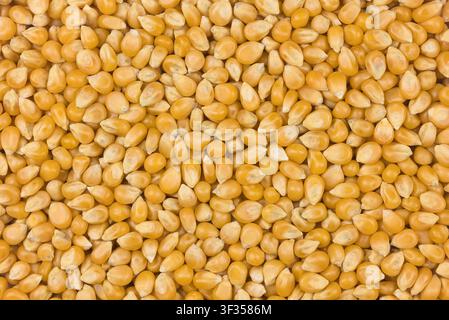 Popcorn kernels displaying a dry food texture, ready for cooking and consumption Stock Photo