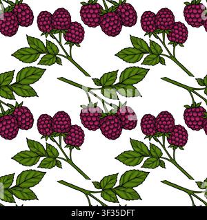 Seamless pattern with hand-drawn vector raspberries and green leaves on a white background Stock Vector