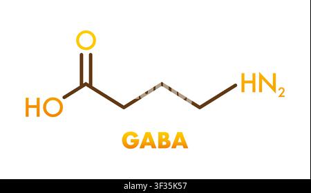 GABA neurotransmitter chemical skeletal formula structure Stock Vector