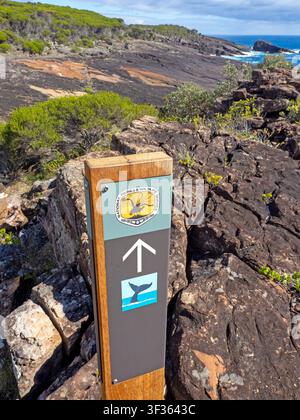 Trail marker along the Light to Light Walk, Beowa National Park Stock Photo