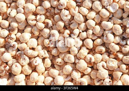 A dense, close-up view of freshly popped popcorn: each piece has a light golden, porous texture with subtle browned edges, typical of traditionally ma Stock Photo