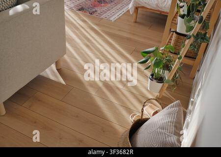 Light shines on wooden floor with plants in room Stock Photo