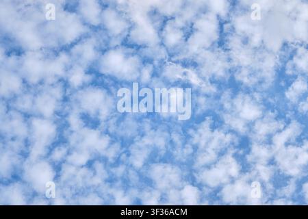 Beautiful blue sky background filled with soft fluffy white altocumulus clouds on sunny day Stock Photo