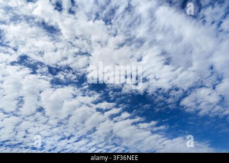 Beautiful blue sky filled with white altocumulus clouds texture. Stock Photo