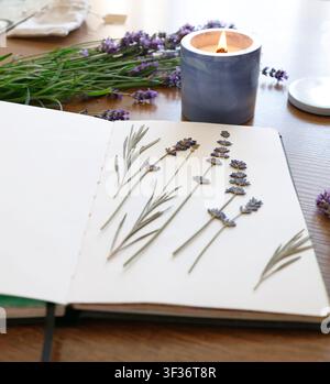 Lavender herbarium flat lay photo. Open notebook contains dried flowers on wooden background. Cozy workspace creative process with burning candle and Stock Photo
