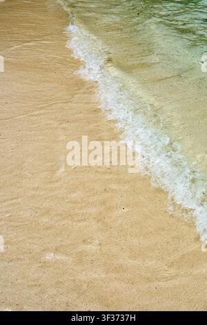 Crystal Clear Tropical Wave Rolling onto Pristine Sandy Beach with Tranquil Shoreline. Stock Photo