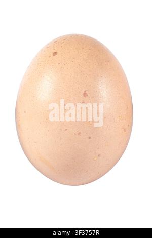 Single light brown chicken egg isolated on white background showing natural shell texture and subtle speckled surface. Stock Photo