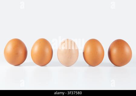 Collection of five chicken eggs in different shades of brown and light brown isolated on white background, illustrating natural color variation in fre Stock Photo