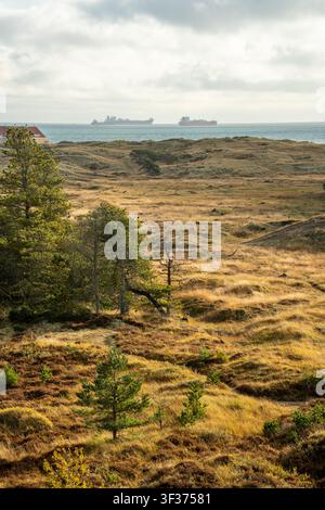 Dirt trails through the sand hills of Skagen Klitplantage nature reserve in Denmark, viewed from the Skagen Sand Covered Church tower Stock Photo