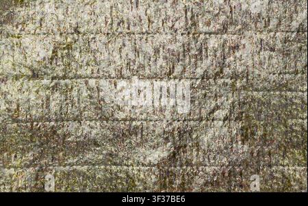Nori Sheet Pattern, Dried Aonori Seaweed, Dry Sea Weed, Seaweed Sheets, Nori Seaweed Pieces Background Top View Stock Photo