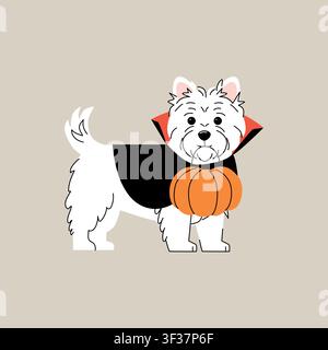 Cute West Highland white terrier dressed as a vampire, wearing a black cape with red collar and carrying an orange pumpkin, illustrated in a simple Stock Vector