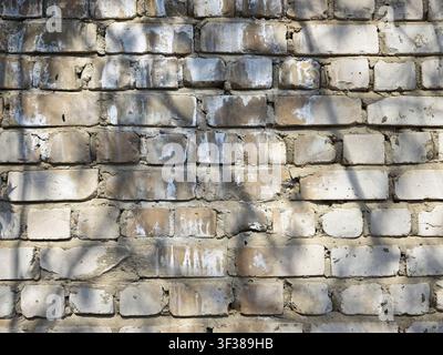 A rough brick wall with variations in texture and color shows shadows cast from nearby objects. It offers space for text and design. Stock Photo