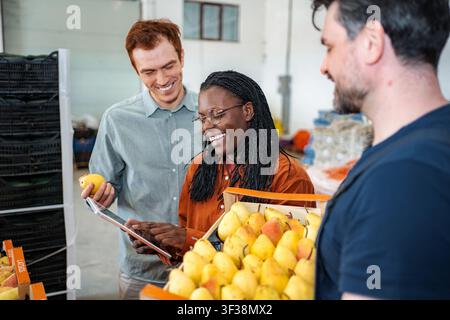 Diverse team checking pears in fruit warehouse using tablet Stock Photo