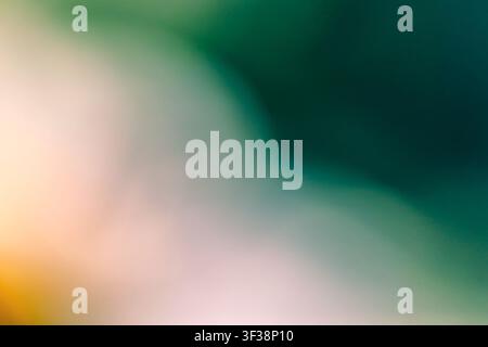 Abstract blurry background created from a blooming coneflower (Echinacea). Soft green and warm yellow gradient texture for design. Stock Photo