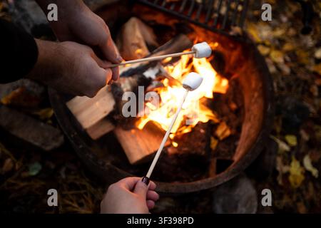 A couple roasting marshmallows over a campfire Stock Photo