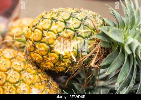 Close-up of a whole pineapple with its green crown and spiky skin partially peeled to reveal the yellow flesh underneath Stock Photo