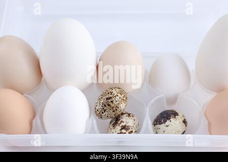Many different eggs in plastic container, closeup Stock Photo