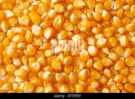 Raw popcorn grains texture background. Dry yellow corns seeds pattern, maize or sweetcorn kernels mockup top view Stock Photo
