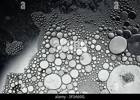 Bubbles of oil and water creating a textured abstract background Stock Photo