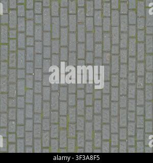 Top view of light grey rectangular concrete paving stones laid in rows with faint green moss growing between the joints. Stock Photo