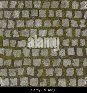 A top-down view of grey granite cobblestones with moss growing in the gaps. Stock Photo