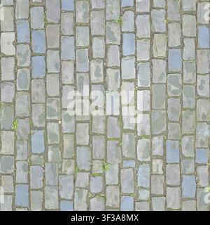 Overhead view of rectangular blue-grey stone paving blocks laid in parallel rows with moss between joints. Stock Photo