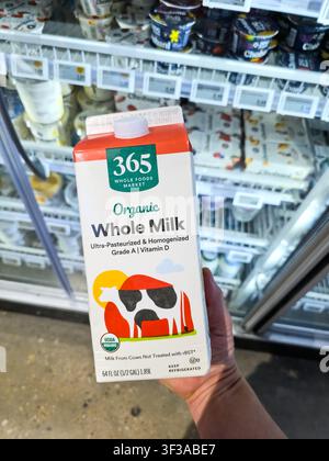 DALLAS - JULY 15, 2026: A carton of 365 Whole Foods Market Organic Whole Milk is held in the aisle of a Whole Foods Market store, showcasing its packa Stock Photo