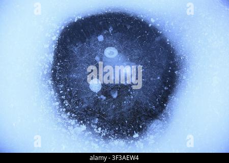 Frozen bubbles under an ice surface in shades of blue, air bubbles trapped in the ice of a frozen lake in winter, Pragser Wildsee, South Tyrol Stock Photo