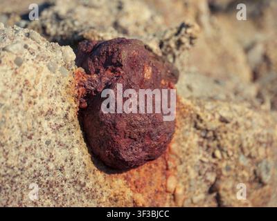 Vadsø, Norway - 06.04.2019: Close-up of a textured rust-colored rock formation nestled within pale grainy geological layers Stock Photo